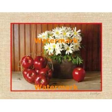 Apples & Daisies  - XS7529  -  PRINT