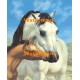 Horses  - #XS10255  -  PRINT