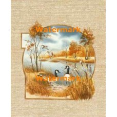 Waterfowl Habitat  - #XS7335  -  PRINT