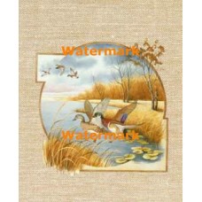 Wood Duck:  Waterfowl Habitat  - #XS7337  -  PRINT