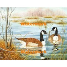 1.  Habitat  - #XS7458  -  PRINT