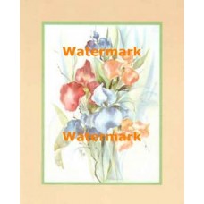 Iris Bouquet  - XS7447  -  PRINT