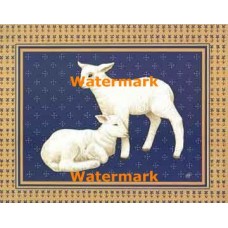 Lambs  - XS9103  -  PRINT