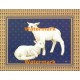 Lambs  - XS9103  -  PRINT