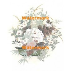 Flower Basket  - XS9241  -  PRINT