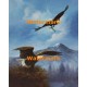 1.  Careful Construction  - #XS12713  -  PRINT