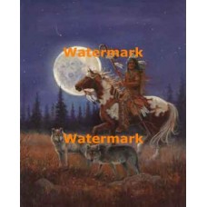 In The Moonlight  - XS18182  -  PRINT