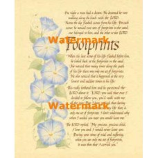 Footprints  - #XS12619  -  PRINT