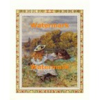 Dandelion  - XS13489  -  PRINT