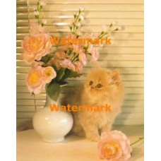 Cat  - XS10089  -  PRINT
