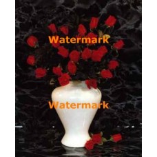 Roses  - #XS13840  -  PRINT