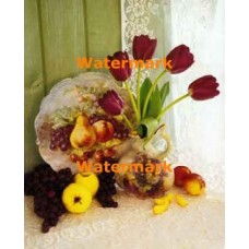 Tulips & Fruit  - #XS14135  -  PRINT