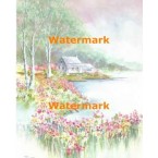 Field of Flowers  - XS10480  -  PRINT