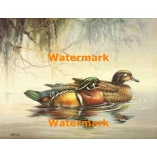 1.  Ducks  - #XS10245  -  PRINT