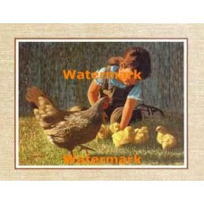 The Nanny  - #XS10273  -  PRINT