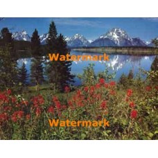 Mountain Lake  - #XS10346  -  PRINT