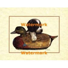 Duck Decoy  - XS12647  -  PRINT