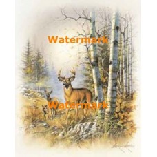 1.  Deer  - #XS12629  -  PRINT