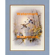 Ducks In Flight  - #XS13051  -  PRINT