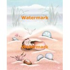 Sandy Beach Seashells  - #XS12667  -  PRINT