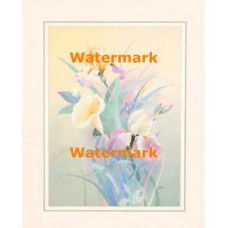 Irises & Calla Lily  -  XS12155  -  PRINT