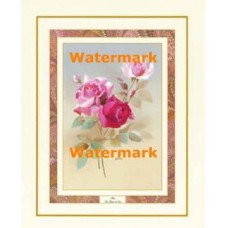 Rose, The Flower of June  - #XS13416  -  PRINT
