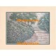 Walking Bridge  - #XS12309  -  PRINT