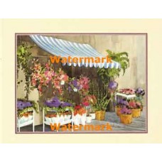 Flower Shop Awning  - #XS12949  -  PRINT