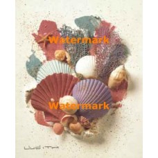 Seashells  - XS17782  -  PRINT