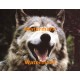 Save The Animals  - #XS14518  -  PRINT