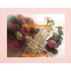 Performance  - #XS14087  -  PRINT