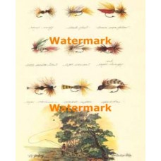 Fly Fishing  - XS16834  -  PRINT