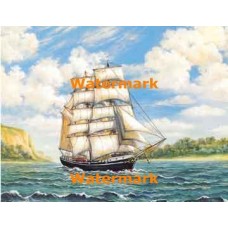 1.  Voyage  - #XS16726  -  PRINT