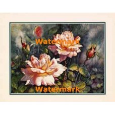 Garden Roses  - XS17991  -  PRINT