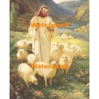 The Good Shepherd  - #XS18558  -  PRINT