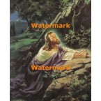 Christ In Garden  - XS18560  -  PRINT