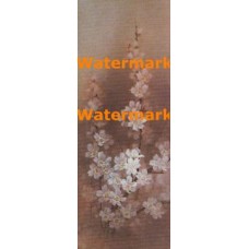 Blossoms  - XS11952  -  PRINT