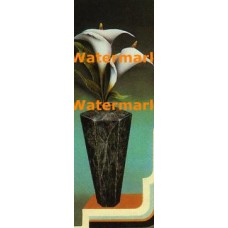 Calla Lilies  - XS13381  -  PRINT