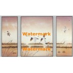 Geese in Flight  - XSTT11029-30-31  -  TRIPTYCH PRINTS
