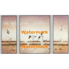 Geese in Flight  - XSTT11029-30-31  -  TRIPTYCH PRINTS